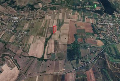 RECO Teren mare extravilan in Uileacu de Munte - 4