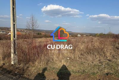 Teren intravilan cu toate utilitatile si drum amenajat Daia - 4