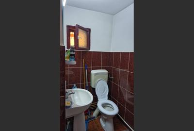 Casa Rogerius singur in curte, amenajata in doua apartamente - 8