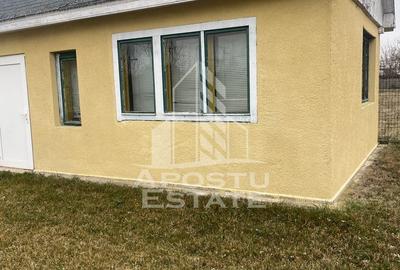 Casa individuala in Remetea Mare cu 1219 mp de teren - 14