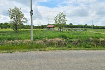 Teren intravilan Ardud Vii Satu Mare - 1