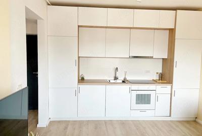 Novum Grozavesti Regie Apartmnet for Rent - 4
