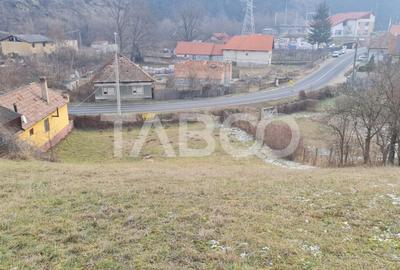 Teren intravilan de vanzare in Sasciori jud Alba - 1