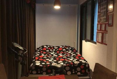 De inchiriat studio + loc parcare, Dream Residence Rahova - 2