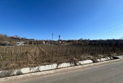 Teren intravilan 2700 mp, deschidere 41 ml, Movilita – Vrancea - 2