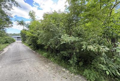 Teren intravilan 683 mp deschidere la strada asfaltata ! - 4