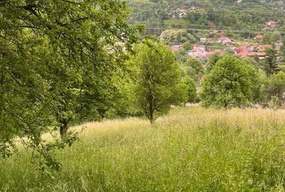 TEREN DE VANZARE VALEA DOFTANEI - 3