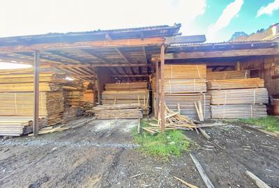 Vânzare fabrică producție lemn Tulghes, utilaje + uscător incluse Comision 0% - 43