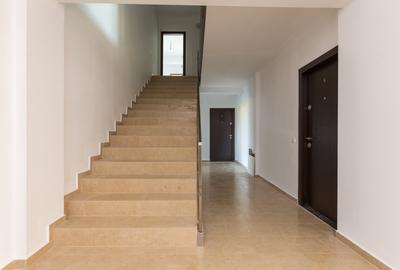 Steaua de Mare Nord 2