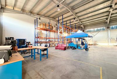 Hala industriala cu birouri de vanzare, Parc Industrial Eurobusiness 1, Oradea - 5