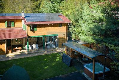 Casa de vacanta superba in Crivaia - 2