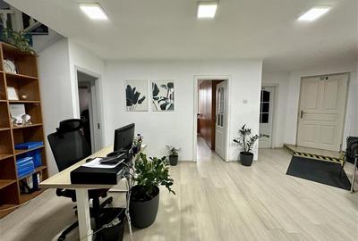 Vila deosebita de inchiriat, pentru birouri - 640 mp - 29