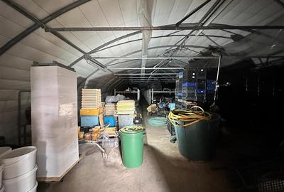 Hala/ cort ciupercarie, crestere pui, 400mp, Dumesti - 10