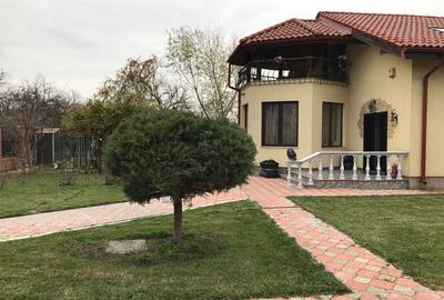 Snagov/Ciofliceni, arta, lemnul și lumina – o vilă care spune o poveste - 12