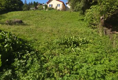 Teren intravilan situat in Busteni