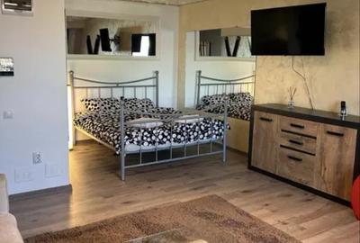 Apartament de vanzare 1 camera,Zona Avram Iancu - 4