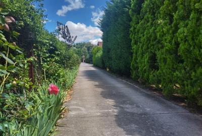 Vila de vanzare in Snagov in vecinatatea padurii - 5