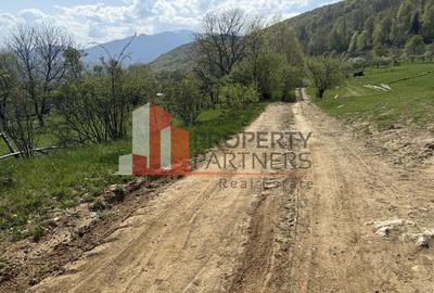 Terenuri Bran - Predelut  Priveliște către Bucegi și Postăvaru - 8