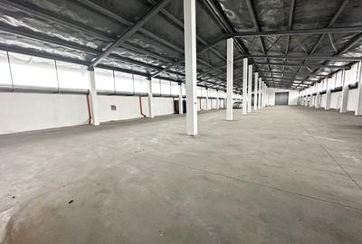 Hala industriala de vanzare cu teren, Oradea, Bihor - 4