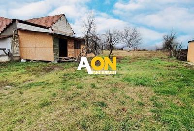 Casa 2 camere, 974 mp teren, Micesti - 2