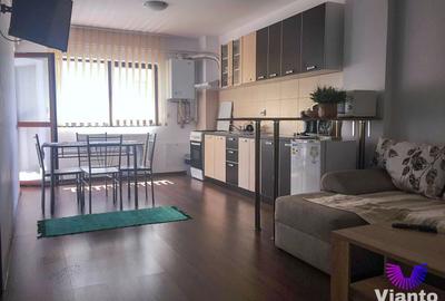 Apartament 2 camere vedere spre munte si balcon | Doamna Stanca - 1