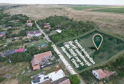 Teren intravilan de 2593 mp, pe deal, cu vedere catre sat, in Murani - 4