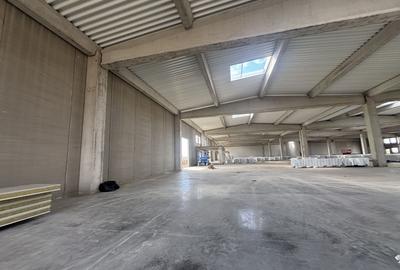 Spatiu de productie si depozitare 885 mp - 24