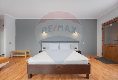 Casă / Vilă cu 16 camere de vânzare Sanmartin/Stefan cel Mare - 12