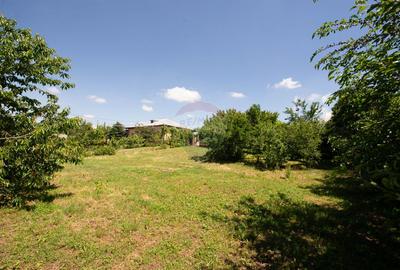 Casa de vanzare teren 2000mp si spatii comerciale Galbinasi Calarasi - 16