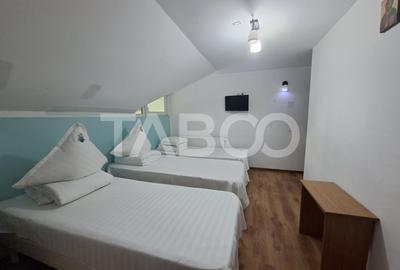 Spatiu de vanzare in Valea Macesului judel Valcea iesire la Lotru - 11