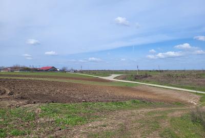 VANZARE TEREN PRUNDU INTRAVILAN AGRICOL GIURGIU POTENTIAL - 3