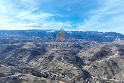 Teren intravilan in Moeciu de jos – Vedere panoramică Piatra Craiului - 3