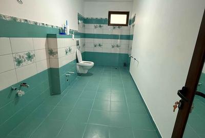 De vânzare casa P+1E zona Chercea - 10