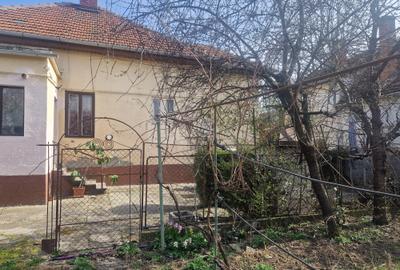 Situata pe frumoasa strada Maslinului in zona Blascovici, - 10