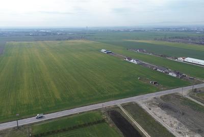 Teren intravilan 5.233 mp, D=16 ml, STRADA PRINCIPALA,zona ONASIS - 5