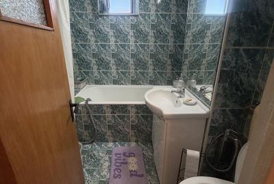 Vanzare/inchiriere apartament 2 camere Gorjului/Valea-Lunga - 6