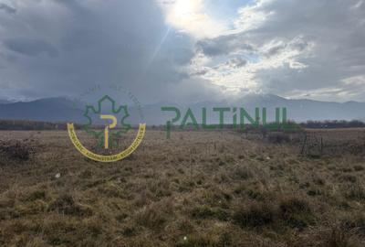 Teren de vânzare 3600 mp, Valea Avrigului, Sibiu, zonă turistică cu potenți - 2