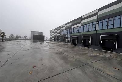Hala Industriala Noua 2025 – Acces Rapid la Autostrada  - 7000 mp - 8
