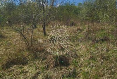 Casa P+M 3 camere 110 mp-teren 1400 mp-Zona Valea Jelnei - 14