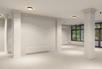 Spatiu comercial la strada - 3