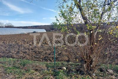 Teren intravilan 1687 mp pentru cabana zona de gradini Cisnadie - 2