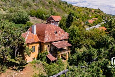 Vila Conac boieresc contelui Fabia 1920 de vânzare Păuliș Arad 2,4 ha - 5