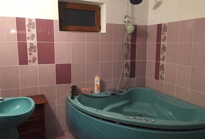Cabana/Vila de inchiriat Valea Budului, Margineni - 35