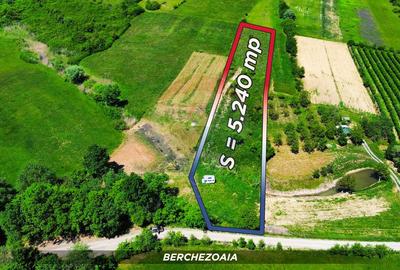 Teren cu panorama superba în Berchezoaia + bonus rulota - 1