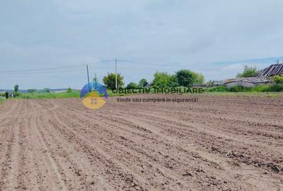 Teren- Com. Stefan cel Mare- jud. Neamt - 10
