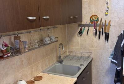Apartament 2 camere - bloc reabilitat - zona DOMENII - 8