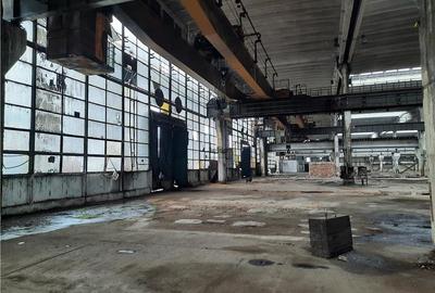 Spatiu Industrial - 10000 mp - Productie - Industrie Grea - 14