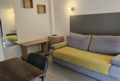 Apartament 1 camera de inchiriat in vila, zona Centru-Primarie - 4