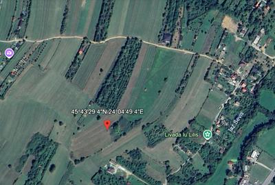 Teren intravilan 6.600 mp Tropinii Noi Rășinari –70 €/mp – PRIVELIȘTE PANORAMICĂ - 2