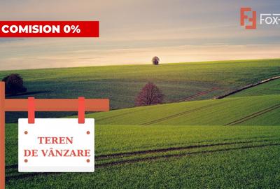 Teren agricol extravilan de 41100 mp, în Torontalului